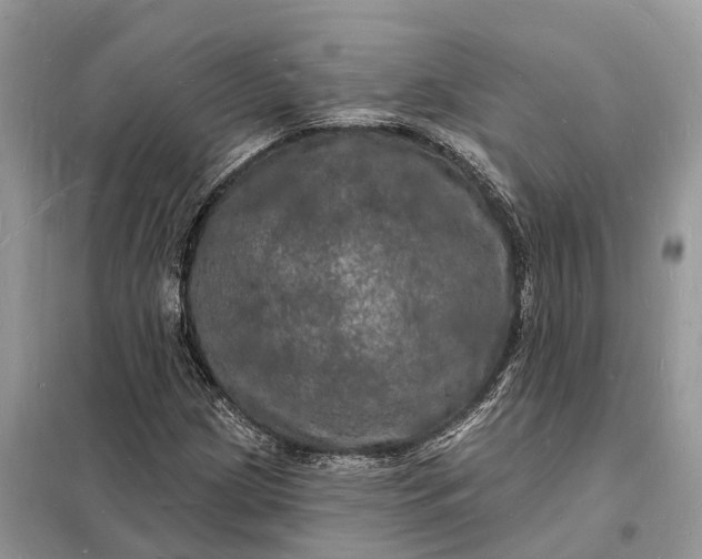 X0000098231209200805081214