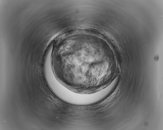 X0000098231210200805081214