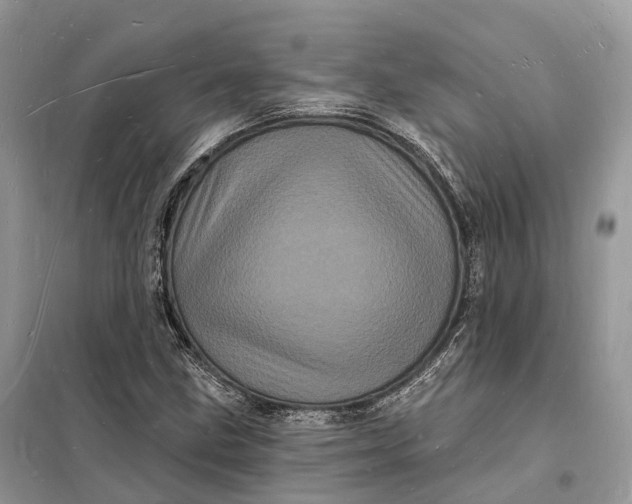 X0000098231211200805081214