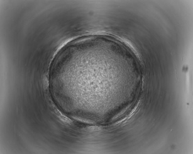 X0000098231212200805081214