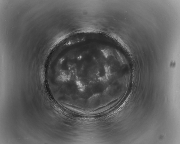 X0000098231213200805081214