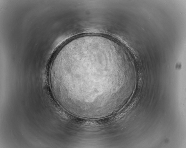 X0000098231215200805081214