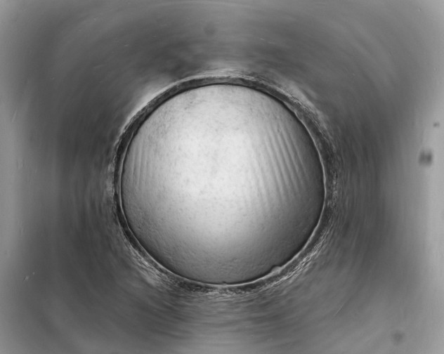 X0000098231216200805081214