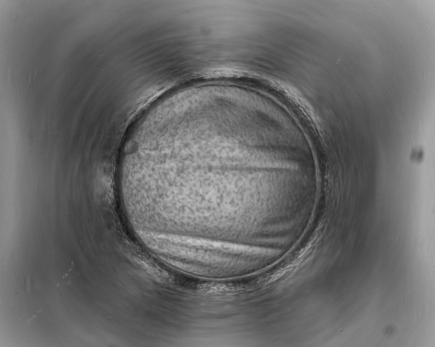 X0000098231217200805081214