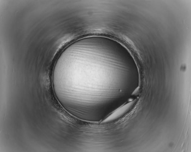 X0000098231218200805081214