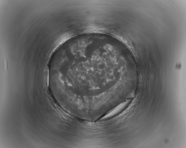 X0000098231219200805081214