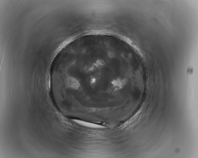 X0000098231221200805081214