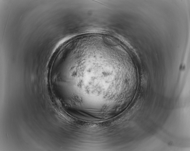 X0000098231222200805081214