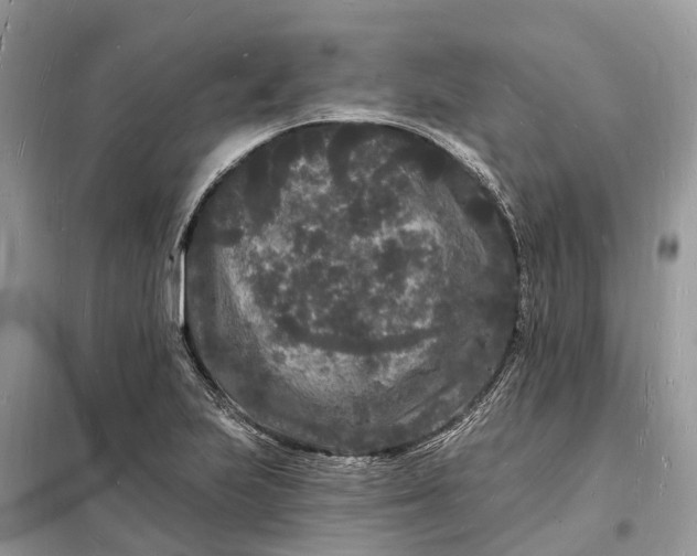 X0000098231223200805081214