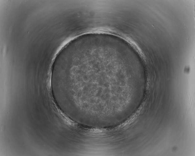 X0000098231224200805081214