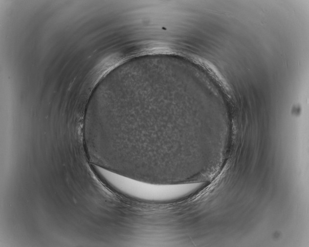 X0000098231225200805081214