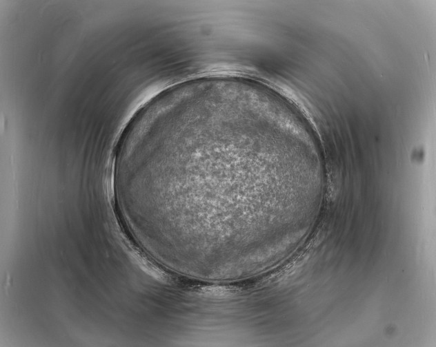 X0000098231227200805081214