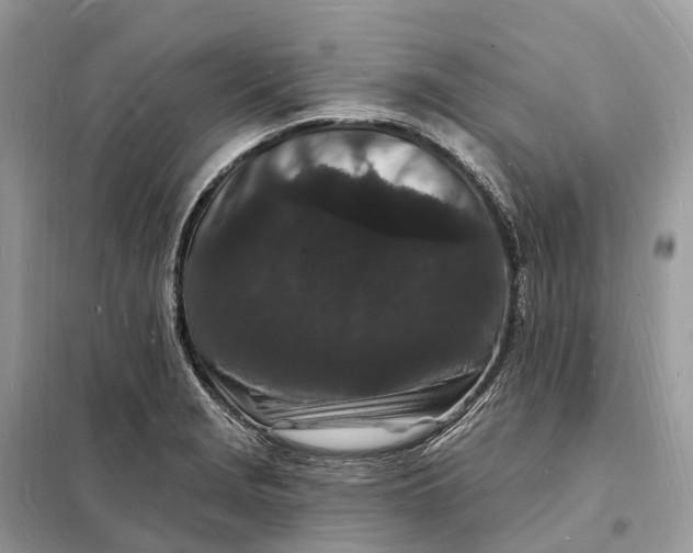 X0000098231229200805081214