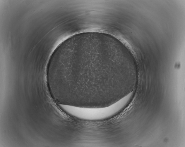 X0000098231230200805081214