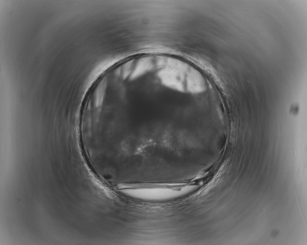 X0000098231231200805081214