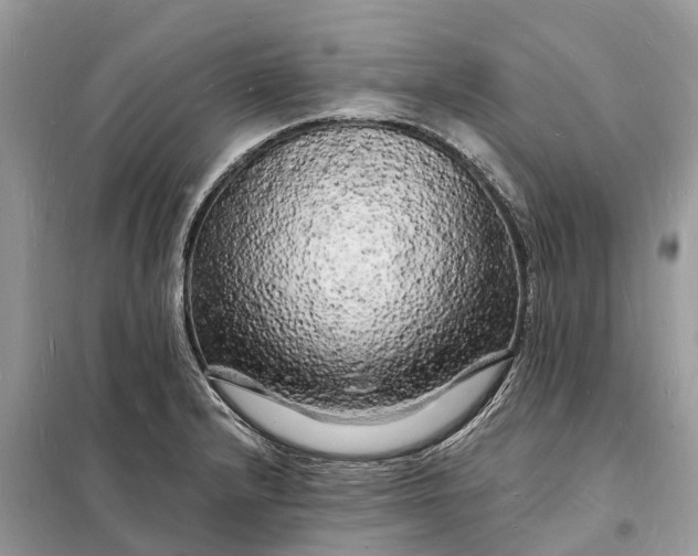 X0000098231232200805081214