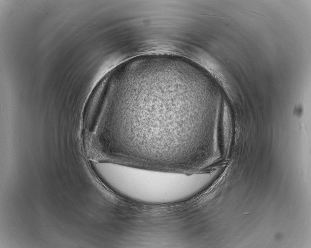 X0000098231234200805081214