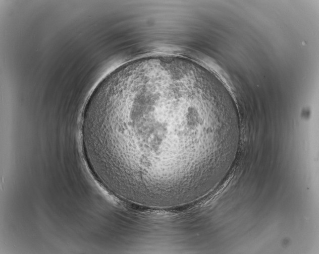 X0000098231235200805081214