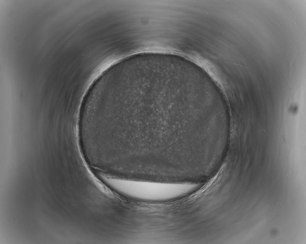 X0000098231237200805081214