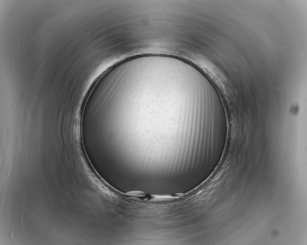 X0000098231238200805081214