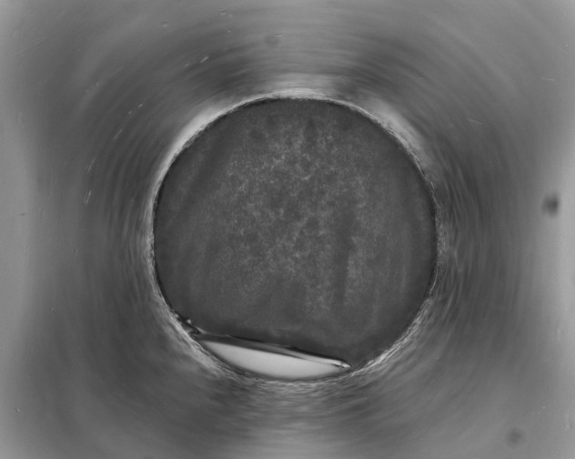 X0000098231240200805081214