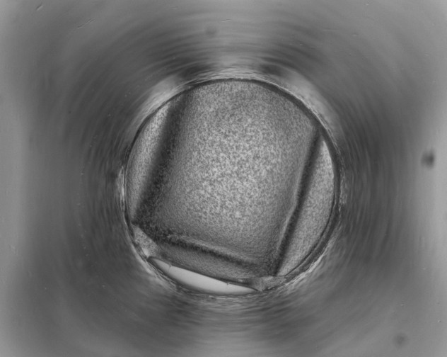 X0000098231241200805081214