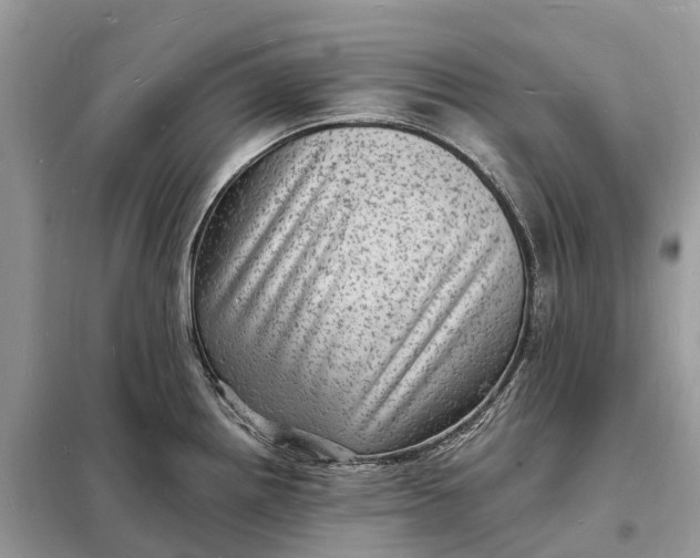 X0000098231242200805081214