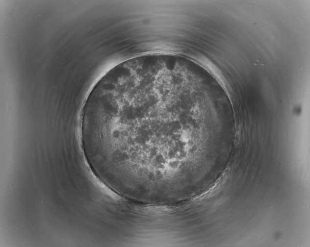 X0000098231243200805081214