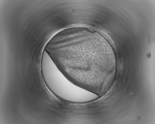 X0000098231244200805081214