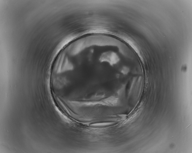 X0000098231245200805081214