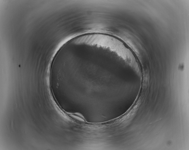 X0000098231246200805081214