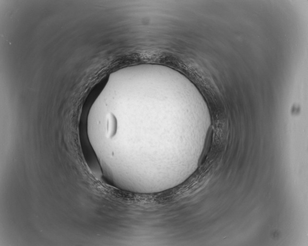 X0000098231249200805081214