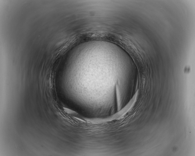 X0000098231250200805081214