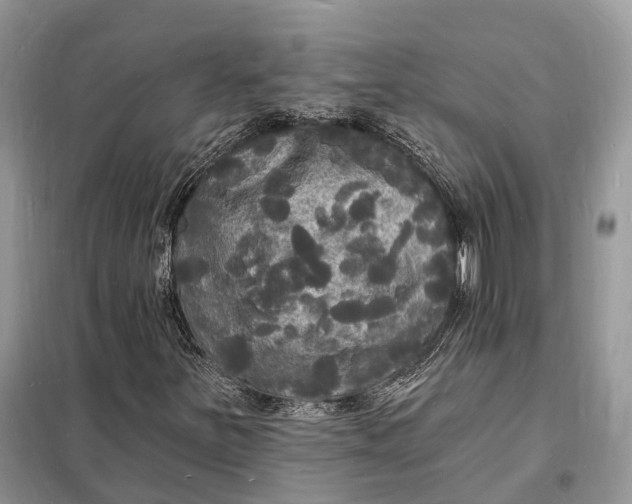 X0000098231251200805081214