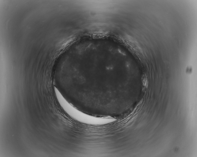 X0000098231252200805081214