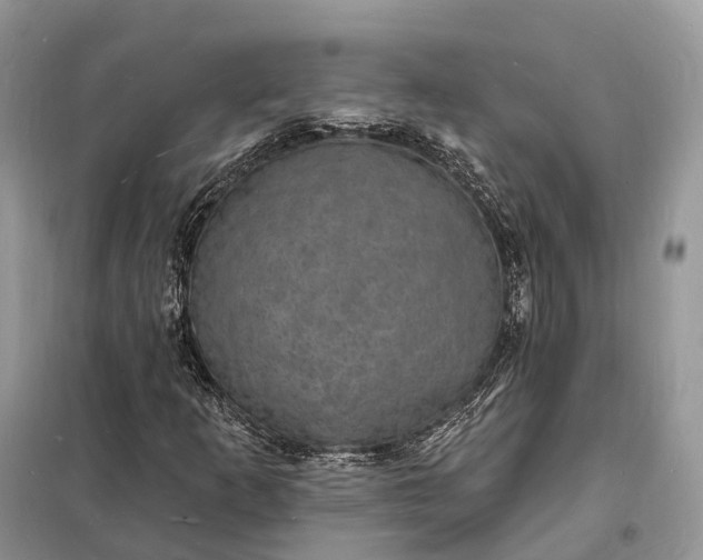 X0000098231253200805081214