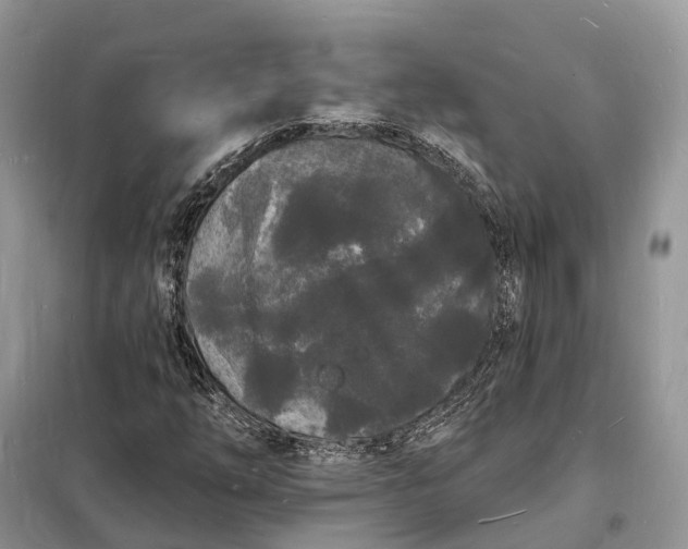 X0000098231254200805081214