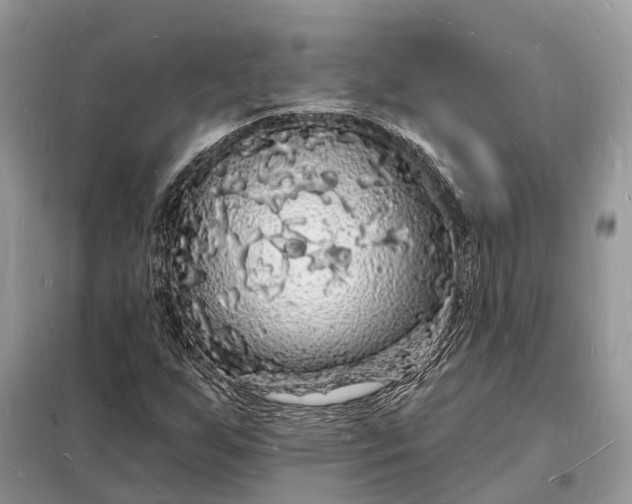 X0000098231255200805081214