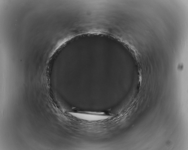 X0000098231256200805081214