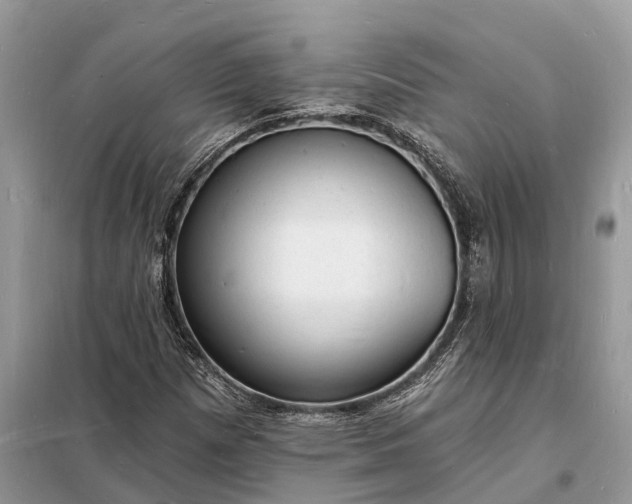 X0000098231257200805081214