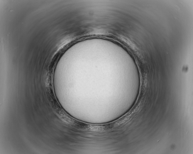 X0000098231258200805081214