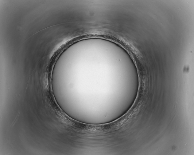 X0000098231262200805081213