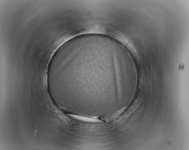 X0000098231268200805081213