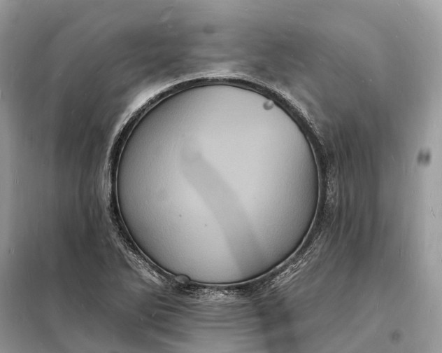 X0000098231270200805081213