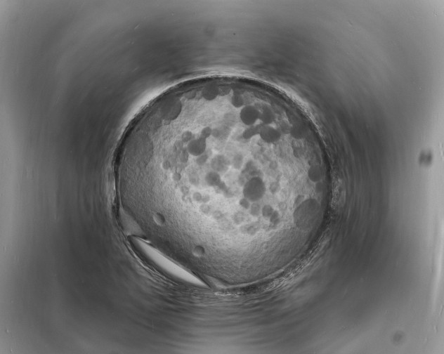 X0000098231271200805081213