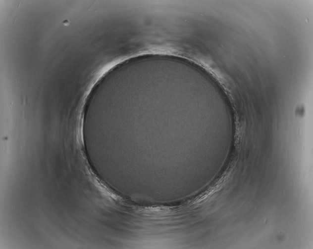 X0000098231272200805081213