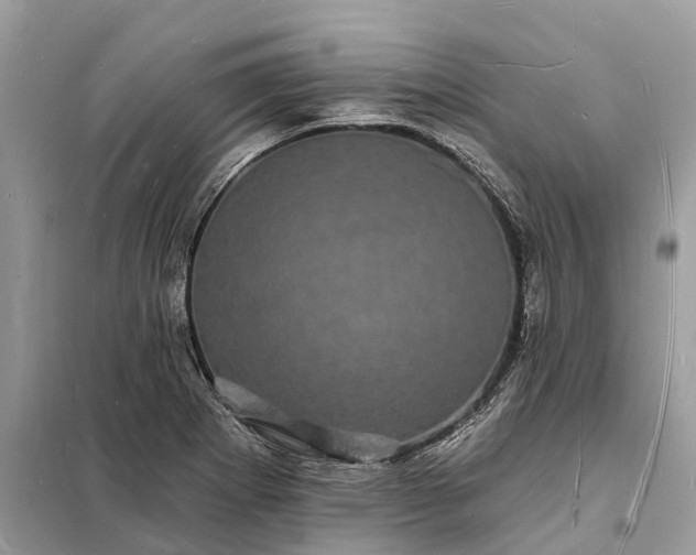 X0000098231273200805081213