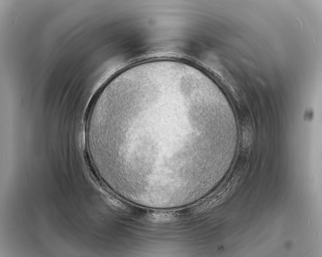 X0000098231274200805081213