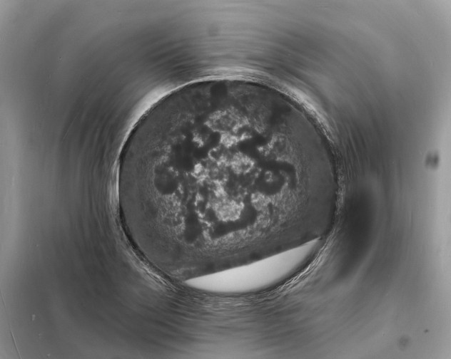 X0000098231275200805081213