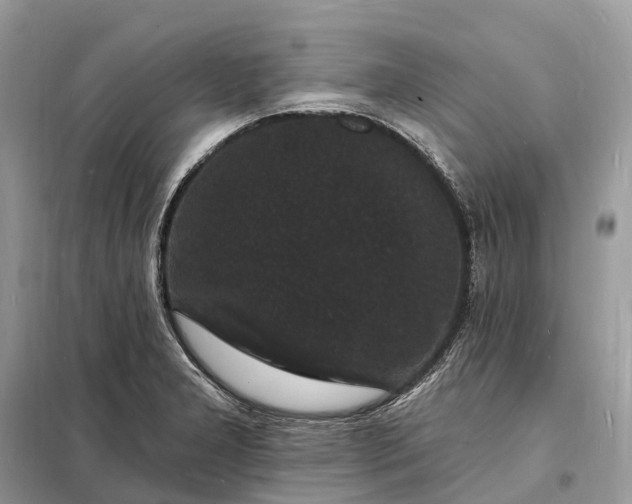 X0000098231277200805081213